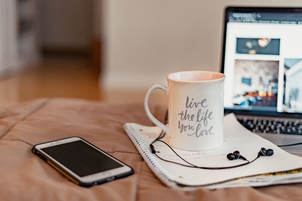 Suzuki Fronx Digital Guide